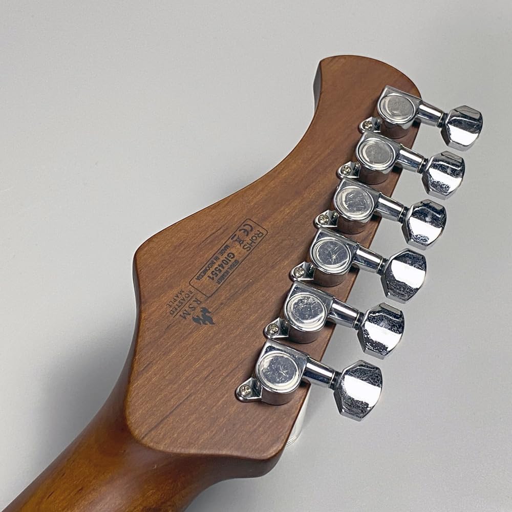 Amazon | Bacchus SBT-ASH RSM エレキギター テレキャスタータイプ